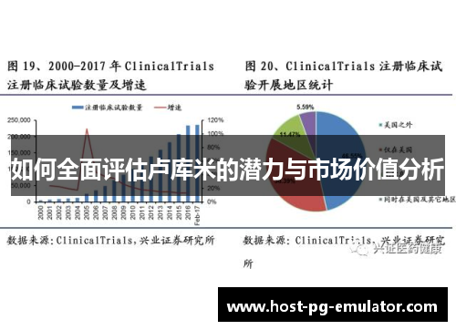 如何全面评估卢库米的潜力与市场价值分析 如何全面评估卢库米的潜力与市场价值分析