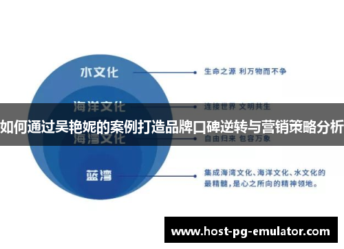 如何通过吴艳妮的案例打造品牌口碑逆转与营销策略分析 如何通过吴艳妮的案例打造品牌口碑逆转与营销策略分析