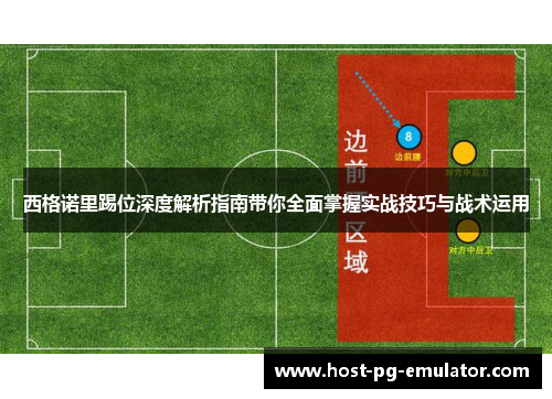 西格诺里踢位深度解析指南带你全面掌握实战技巧与战术运用