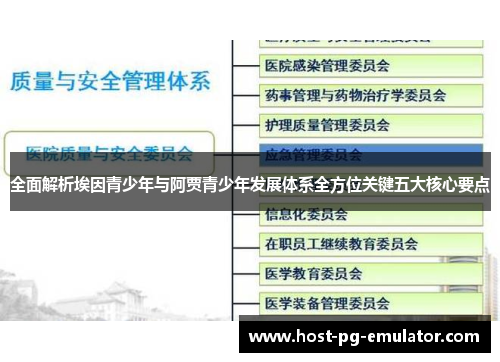 全面解析埃因青少年与阿贾青少年发展体系全方位关键五大核心要点